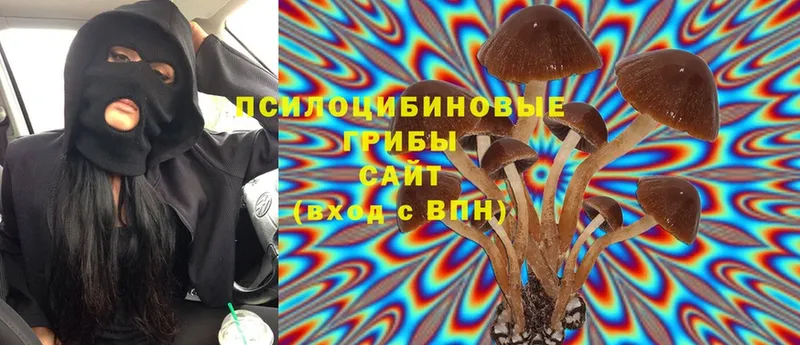 Галлюциногенные грибы MAGIC MUSHROOMS  Серафимович 